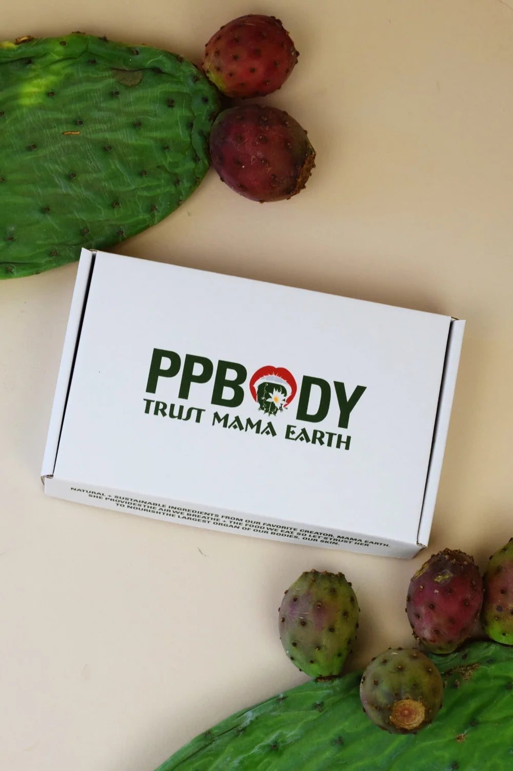 PP Body Collection